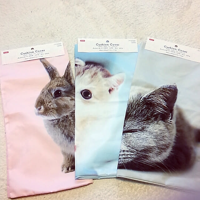 kumingさんの実例写真