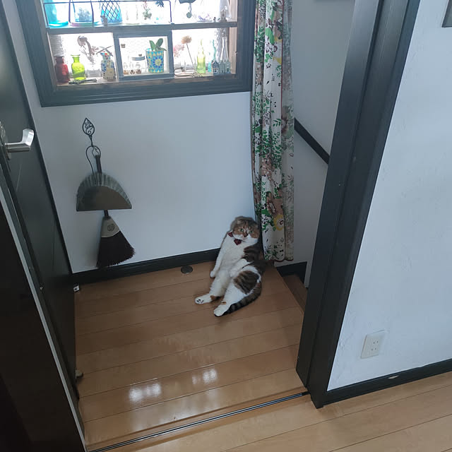 hiro3さんの実例写真