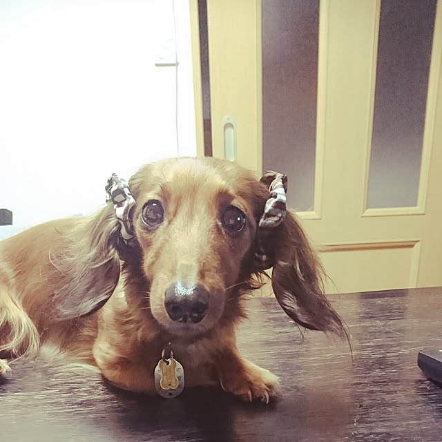 andさんの実例写真