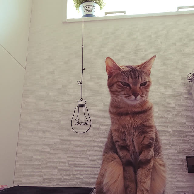 mamekoさんの実例写真