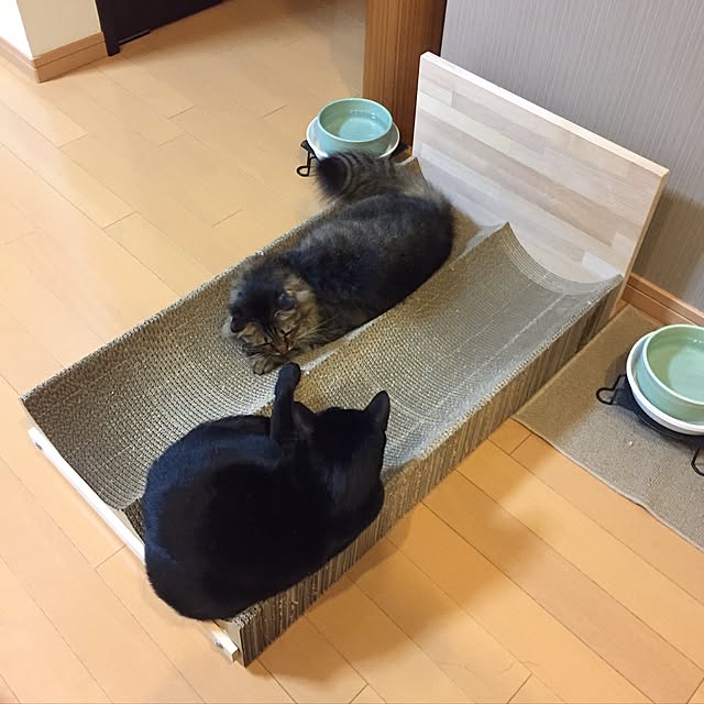 yuki0511さんの実例写真