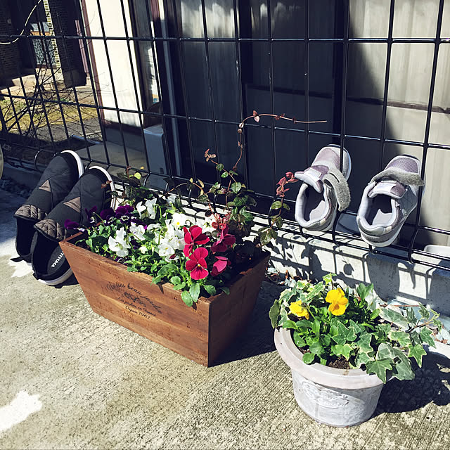 ayanさんの実例写真