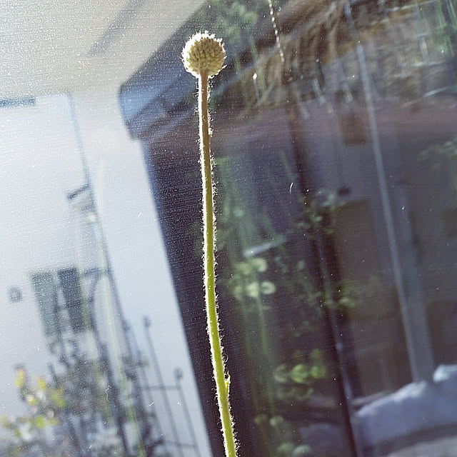 nia1213さんの実例写真