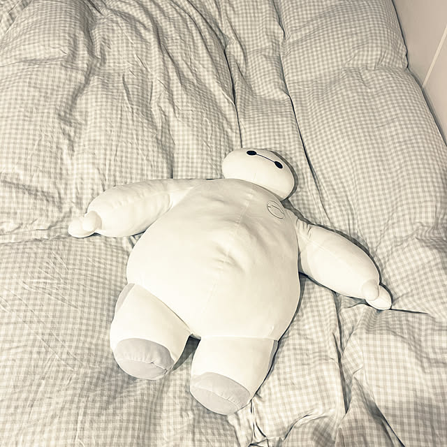 asasouさんの実例写真