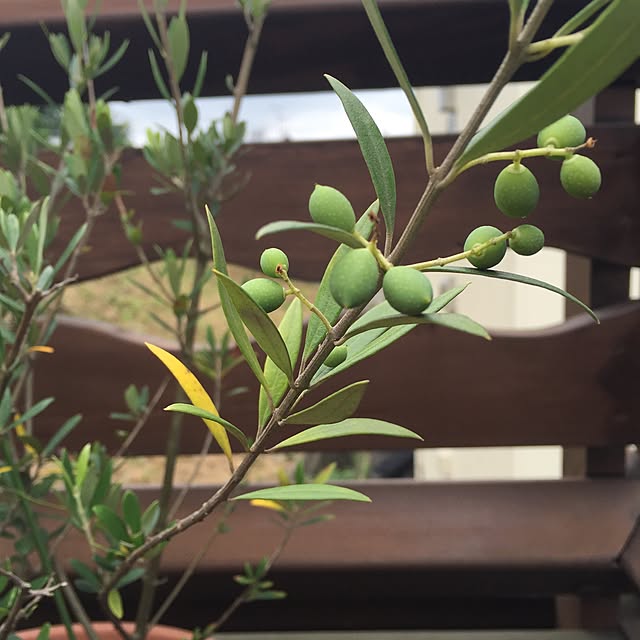 june.0107さんの実例写真