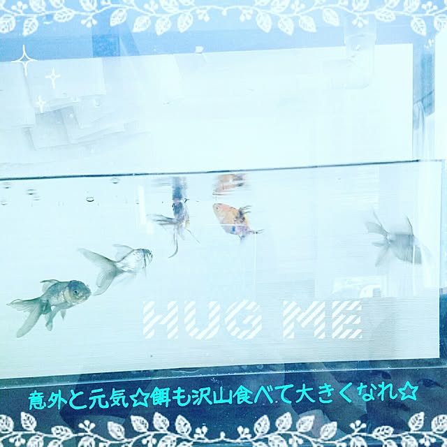 Aoiさんの実例写真