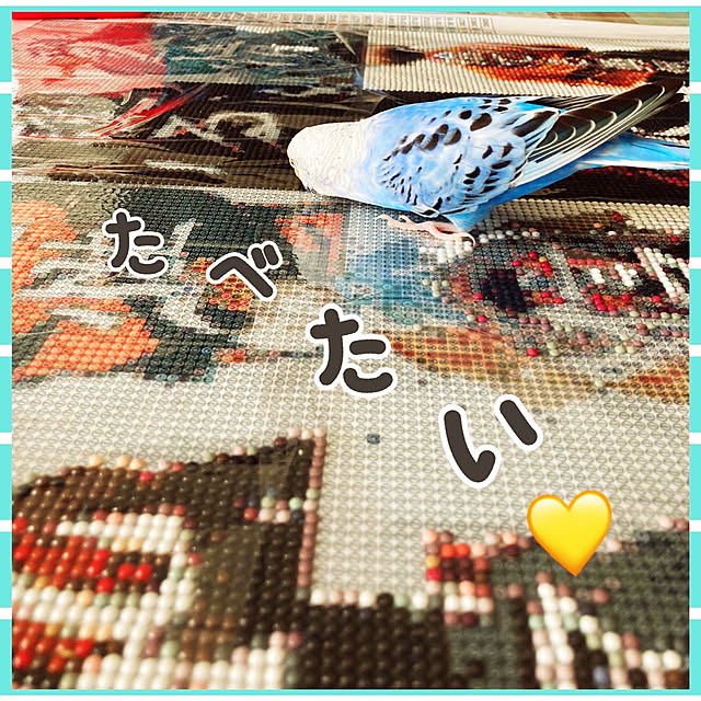 Nohohonさんの実例写真