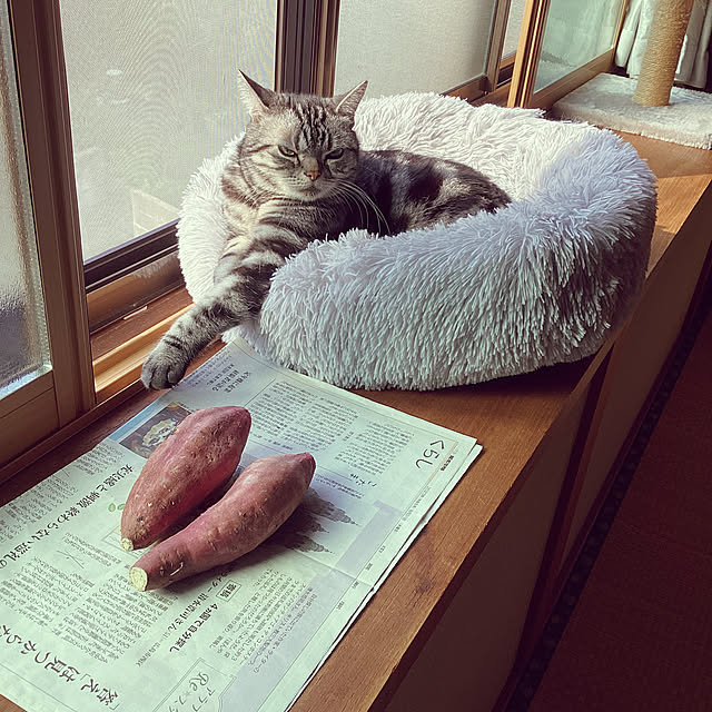richanさんの実例写真