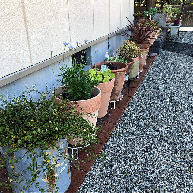 ckさんの実例写真