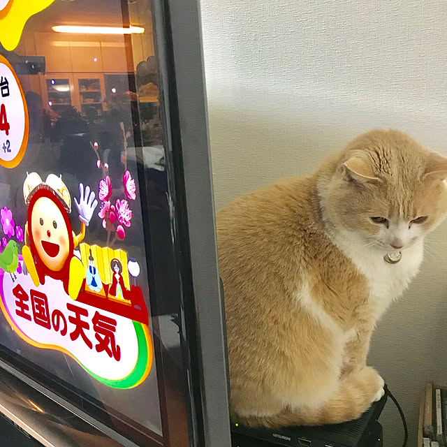BUNさんの実例写真