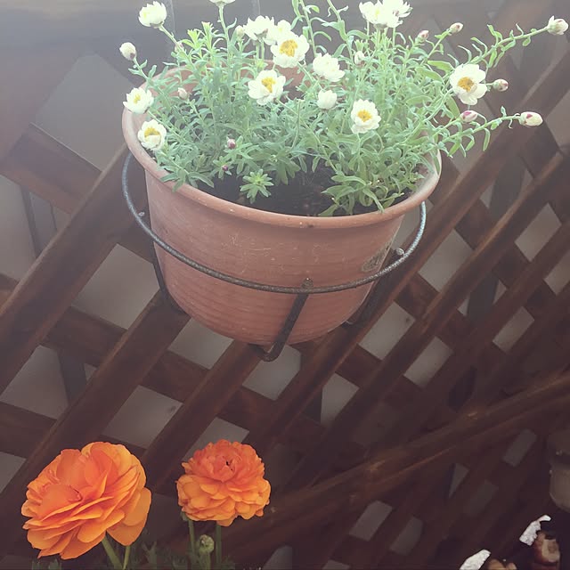 kojiro120513さんの実例写真