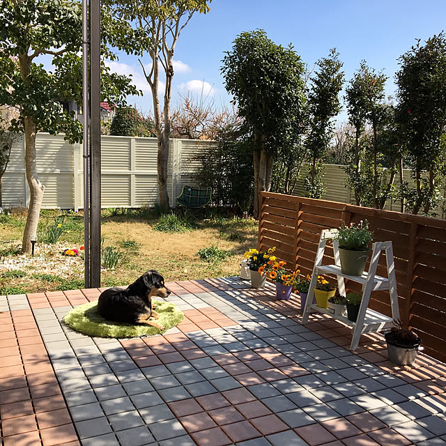 mugijunさんの実例写真