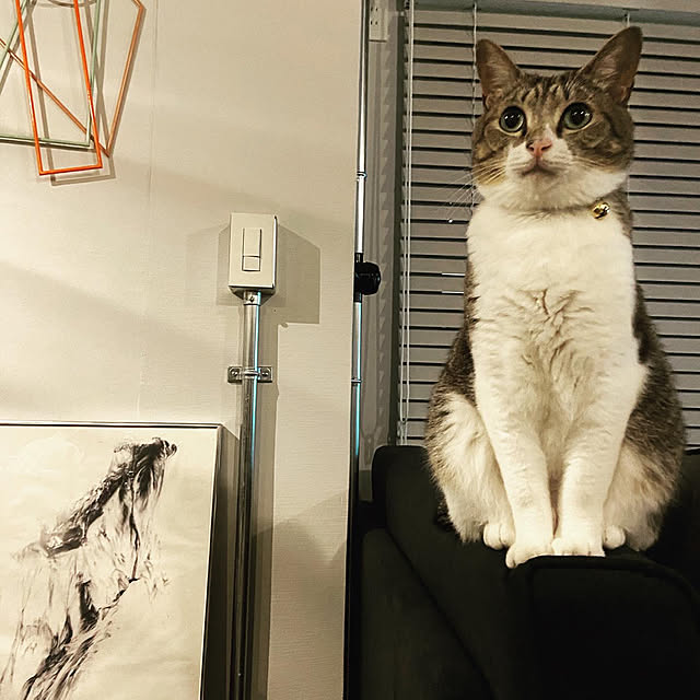 Toshikunさんの実例写真