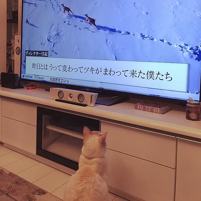ayakona114さんの実例写真