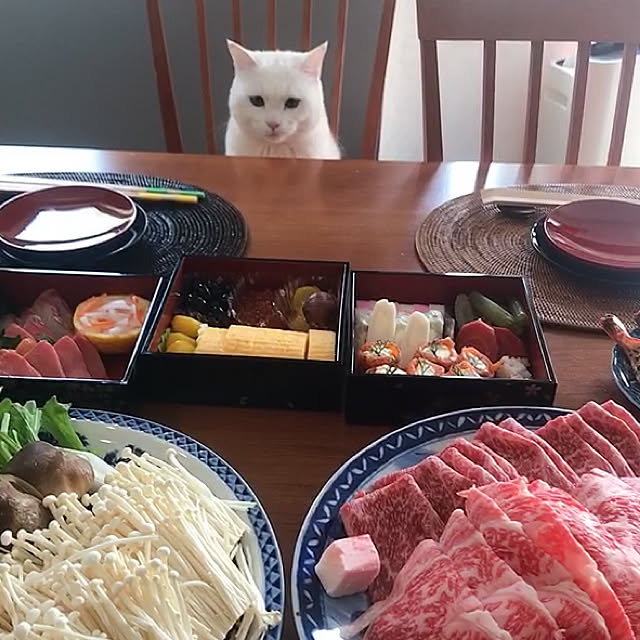 nyanko-beamさんの実例写真