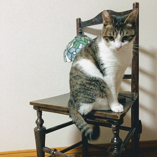 rinさんの実例写真