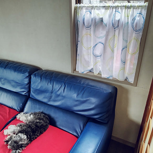 ampinさんの実例写真