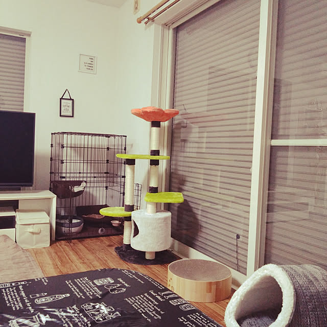 michikoさんの実例写真