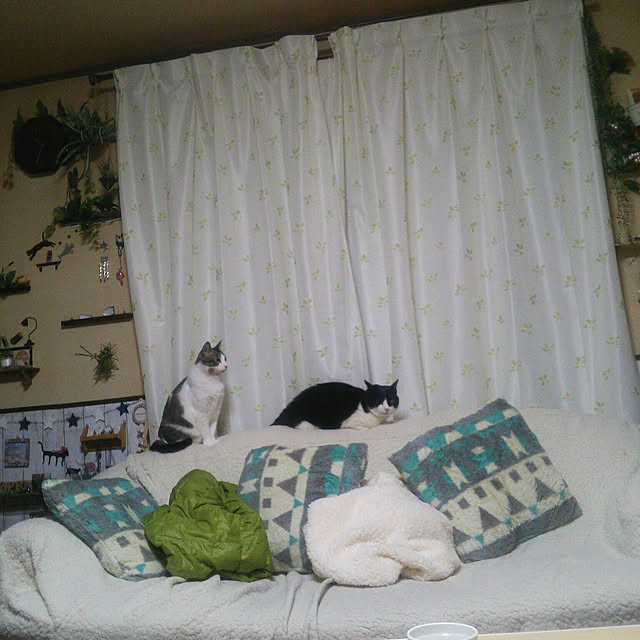 Tomopさんの実例写真