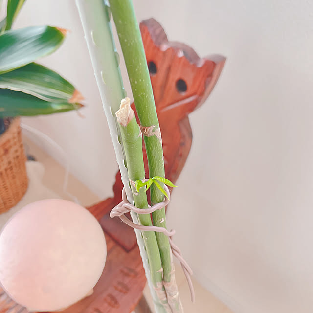 akiko-ovさんの実例写真