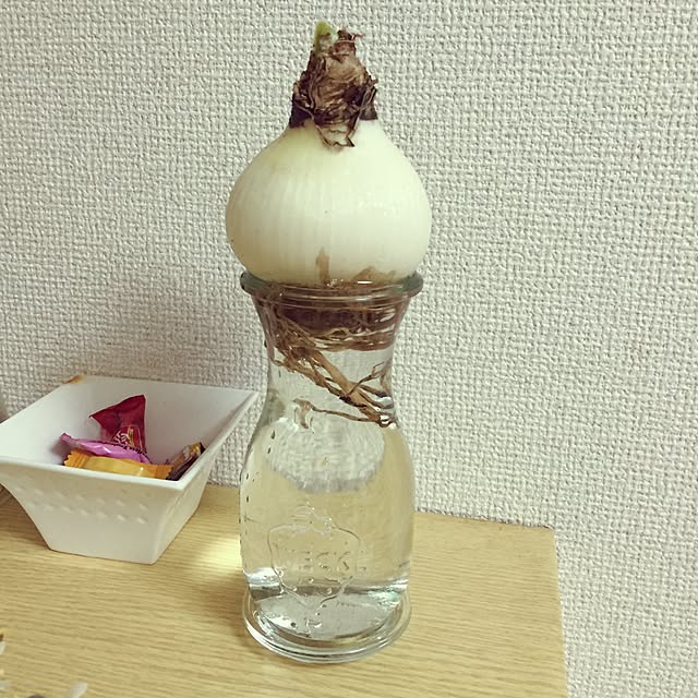 玄関/入り口のインテリア実例 - 2015-03-27 10:32:11