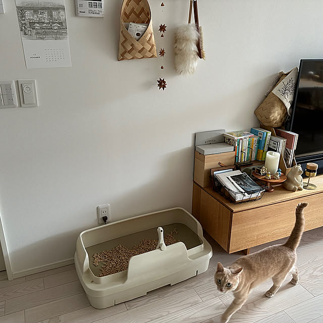 yococo_kurashiさんの部屋