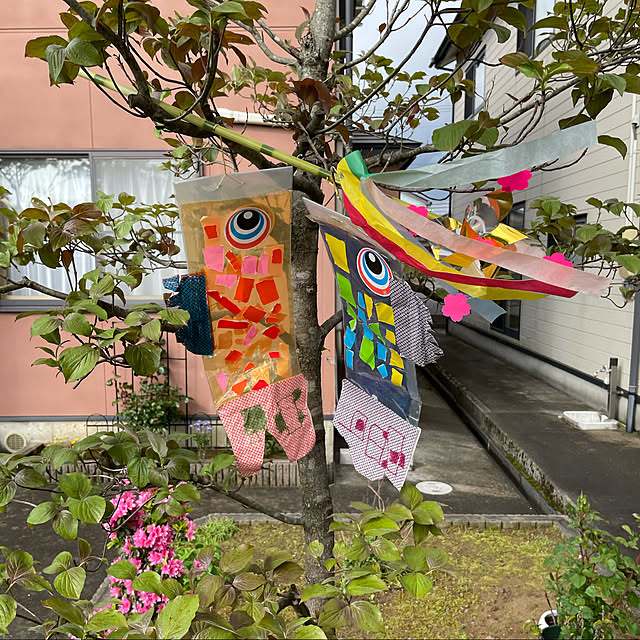 kakoさんの実例写真