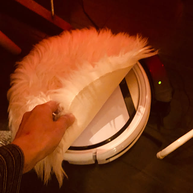 zacさんの実例写真