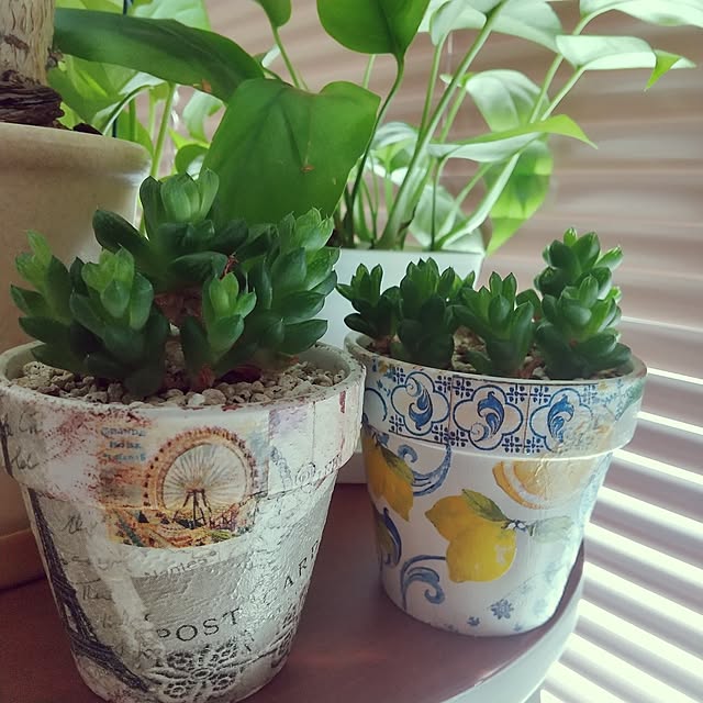 meiさんの部屋