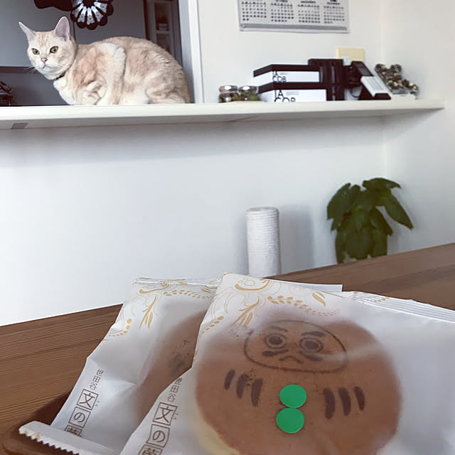 hiyupan88さんの実例写真