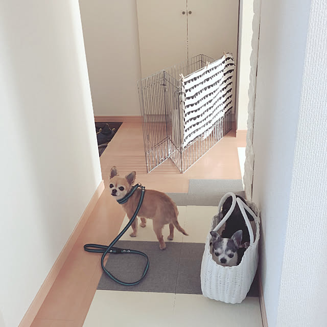 Emiさんの実例写真