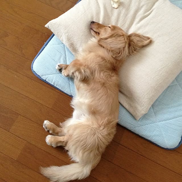keikoさんの実例写真