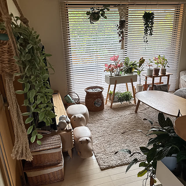 chinaさんの部屋