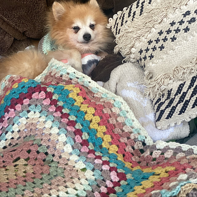mimiさんの実例写真
