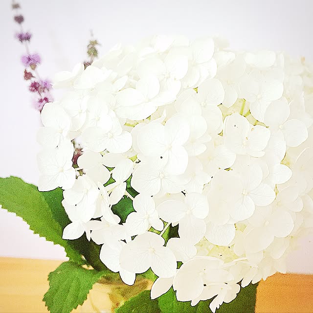 mintnさんの実例写真
