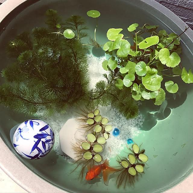sattoさんの実例写真