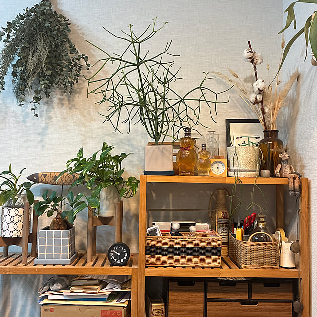 riomさんの実例写真