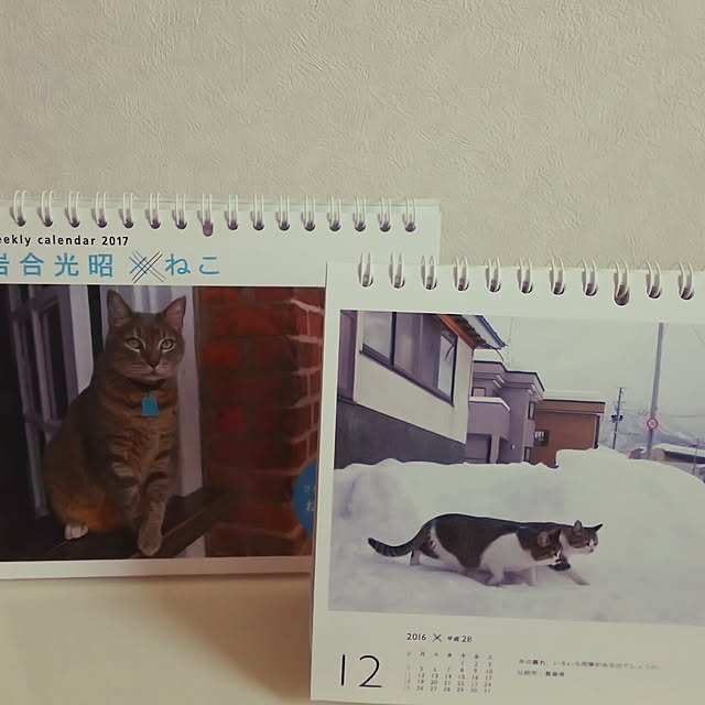 asaki848さんの実例写真