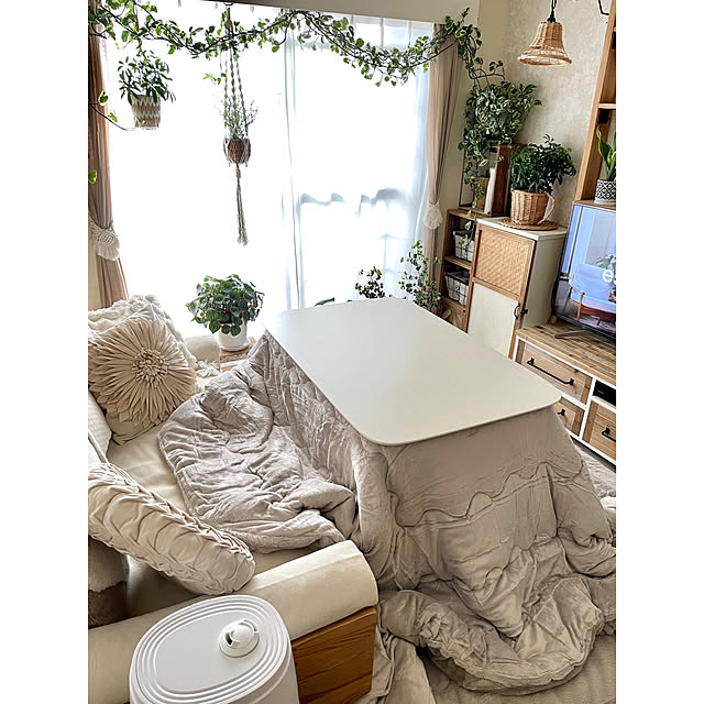 airararaさんの部屋