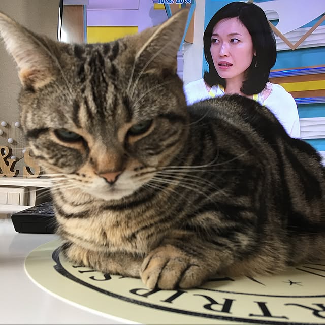 tomommyさんの実例写真