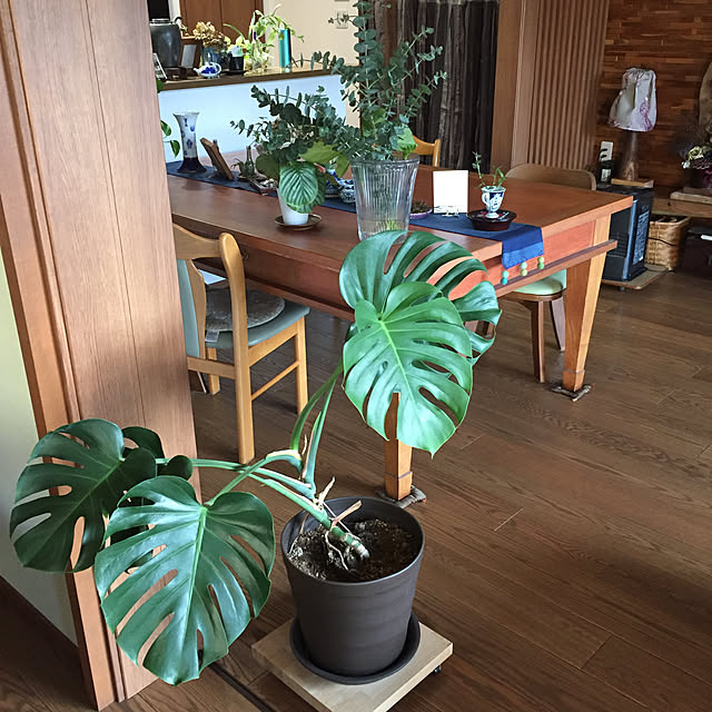 buchiさんの実例写真