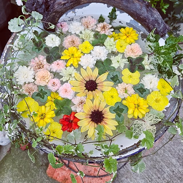 mocomocoさんの部屋