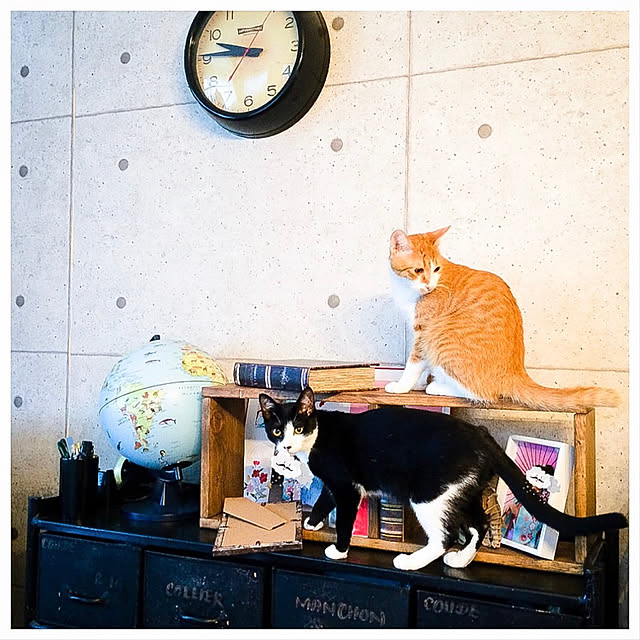 mako2yaさんの実例写真