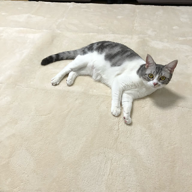 Atelier.mさんの実例写真