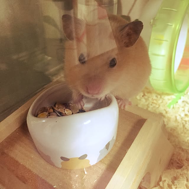 fruity anさんの実例写真