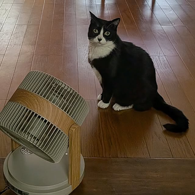 Mayumi8888さんの実例写真