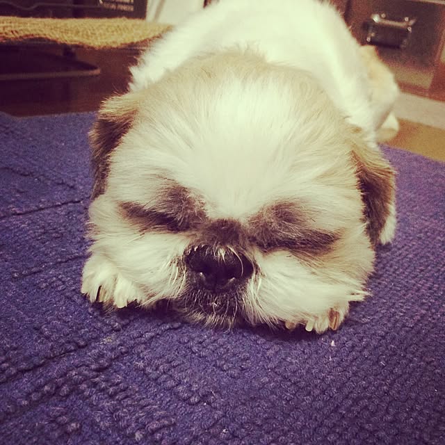 rodyさんの実例写真