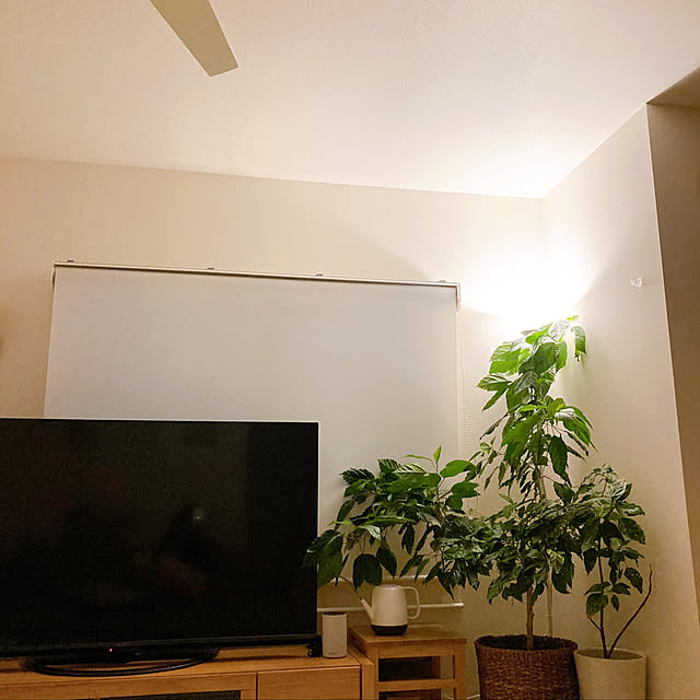ss_house_rmkさんの実例写真
