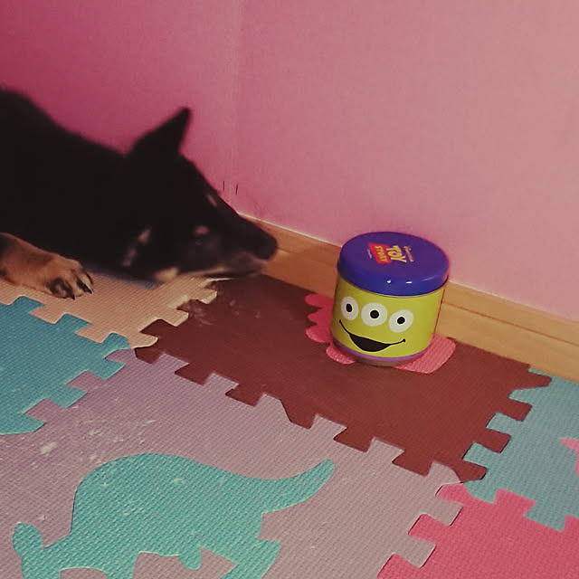 xxxakyxxxさんの実例写真