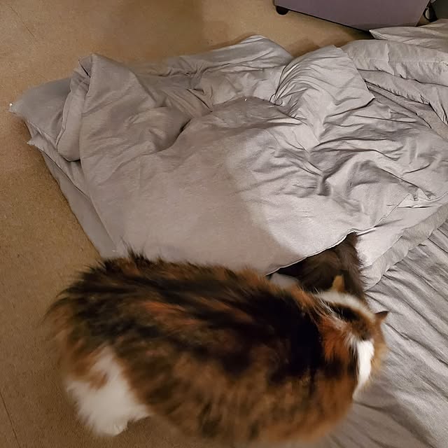 muku+maroさんの部屋